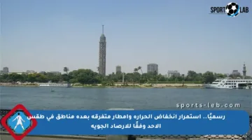 رسميًا.. استمرار انخفاض الحرارة وأمطار متفرقة بعدة مناطق في طقس الأحد وفقًا للأرصاد الجوية